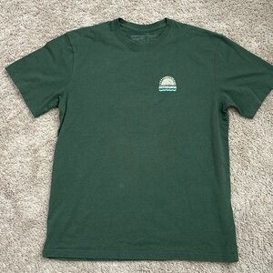 Patagonia tee